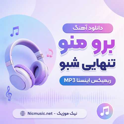 برو منو تنهایی شبو